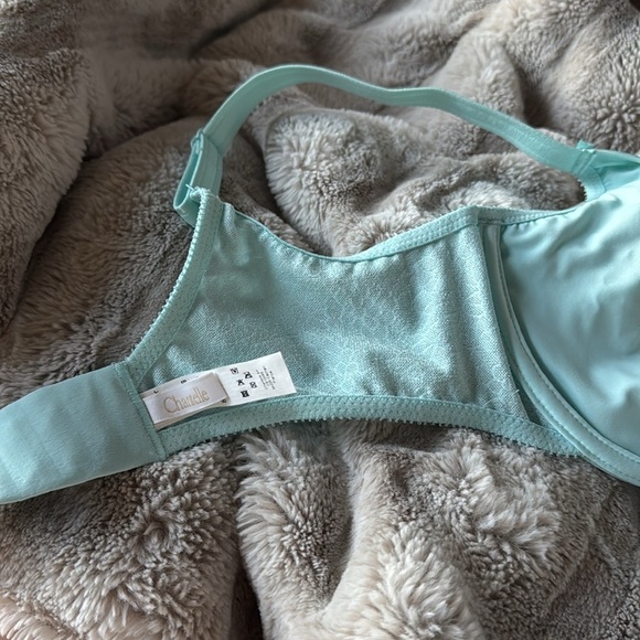 Chantelle C Magnifique Minimizer Bra, 34 DD , Powder Blue Pastel NEW 34E - Picture 11 of 11